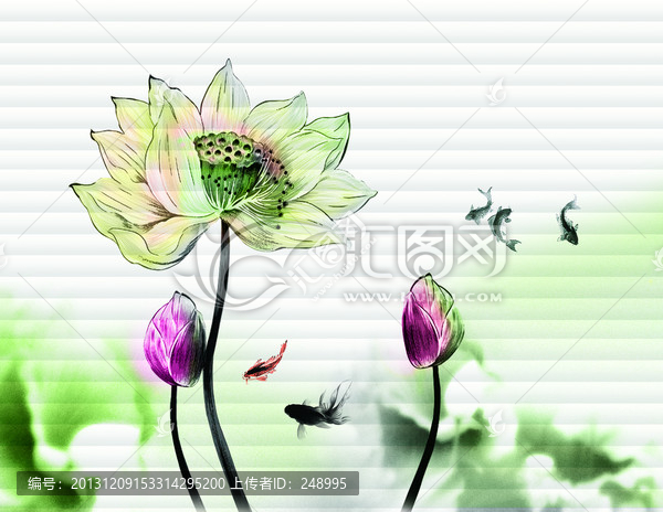 荷花
