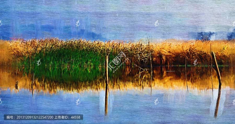 蘆葦,油畫
