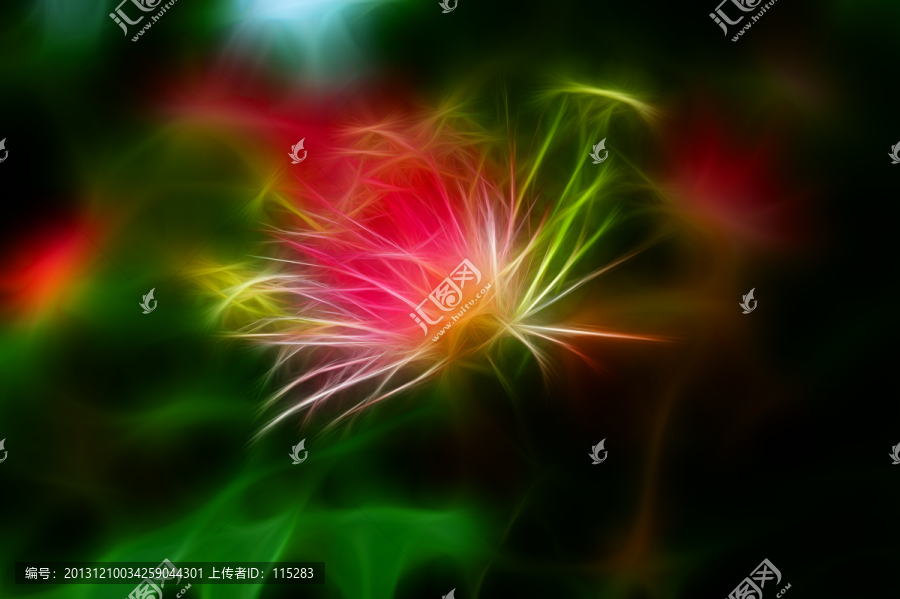 裝飾畫,無(wú)框畫,花