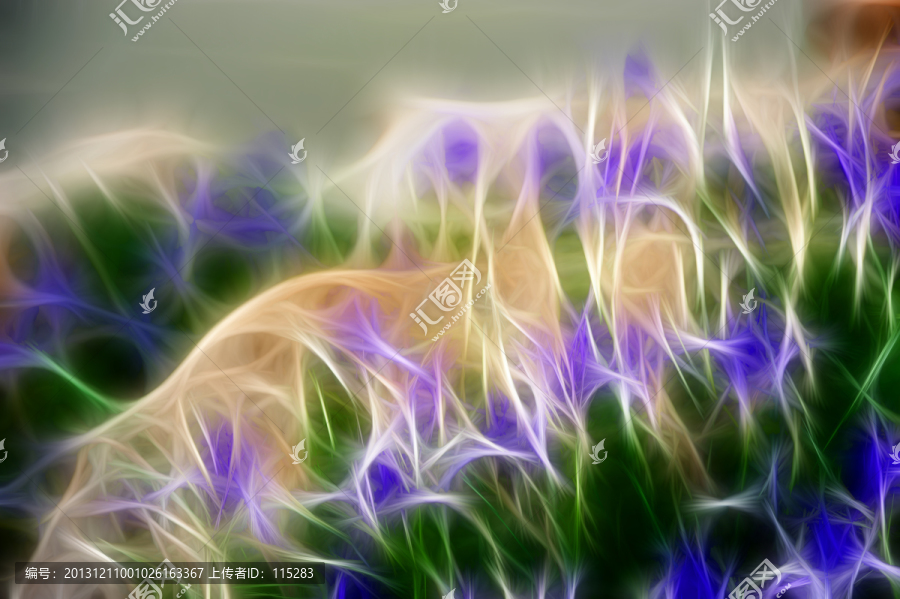 裝飾畫,無框畫,花