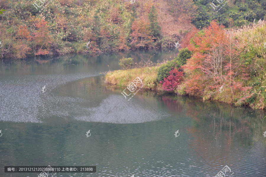 水,池塘