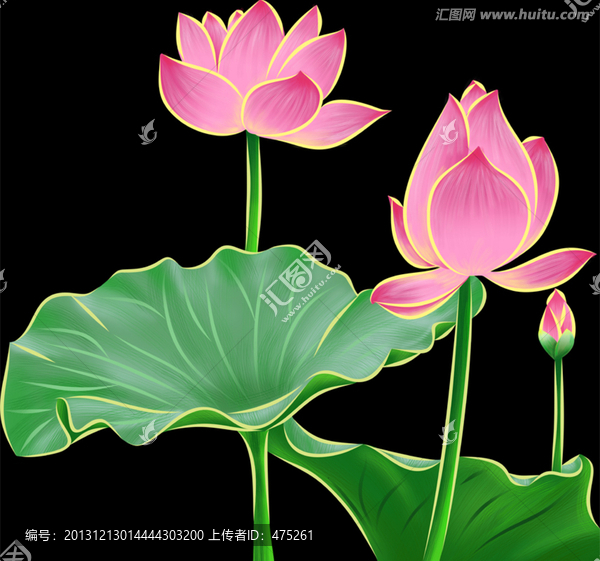 荷花荷葉