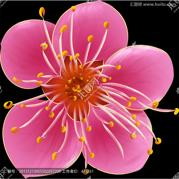 梅花