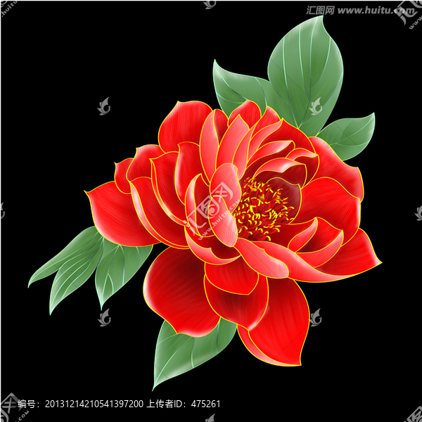牡丹花和綠葉