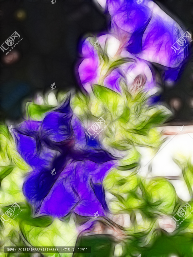 紫花兒,花卉