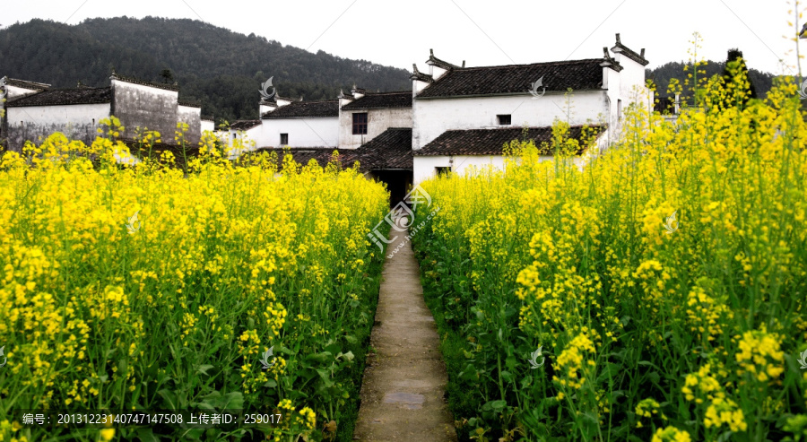 婺源思溪延村