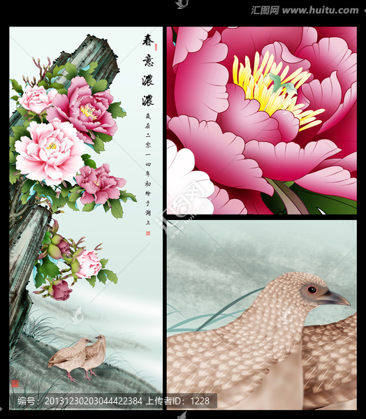 牡丹,春意濃濃