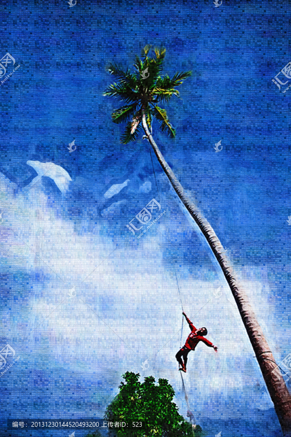 海邊椰樹