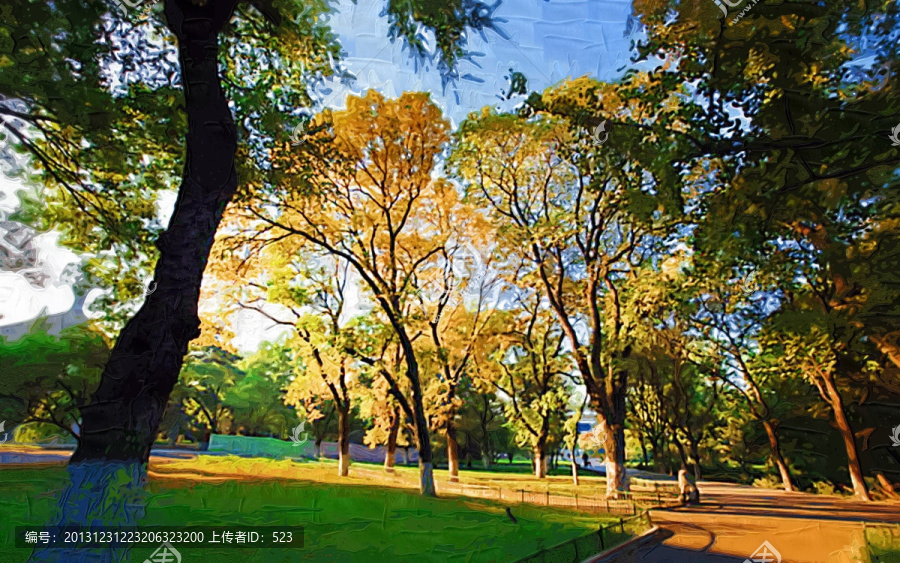 公園樹林