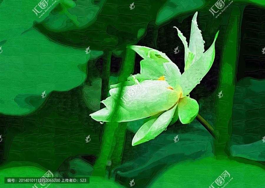 荷花