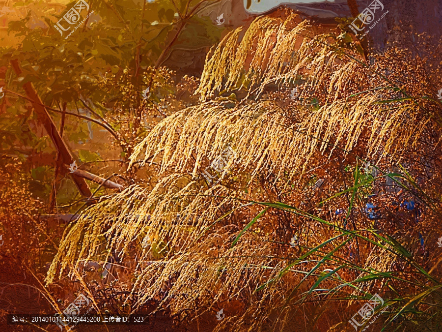 秋天風(fēng)景