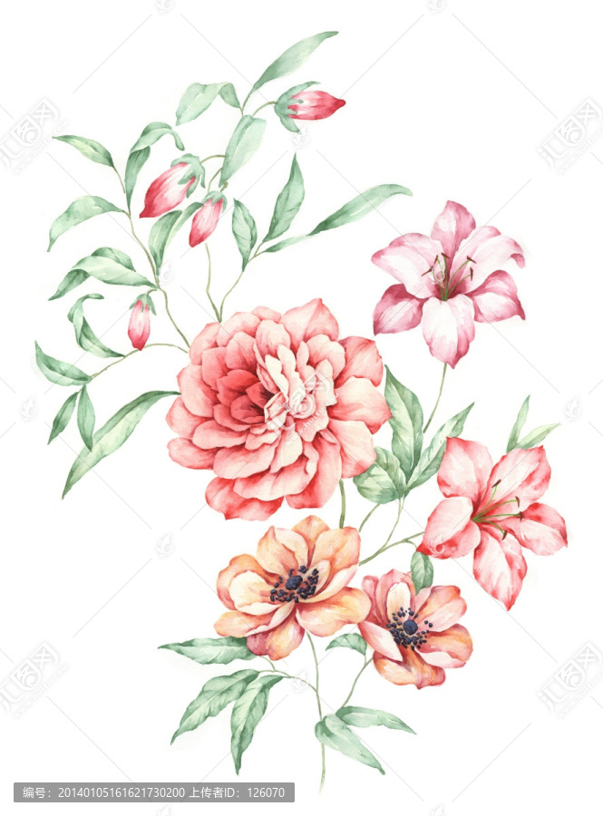 手繪花卉,合層