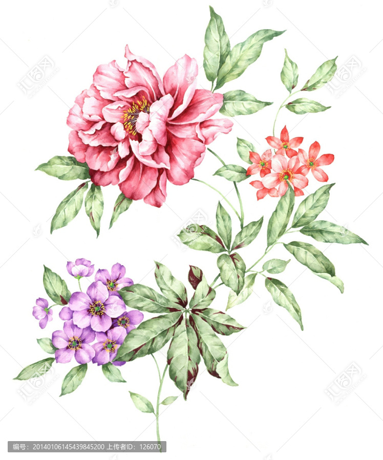 手繪花卉,合層