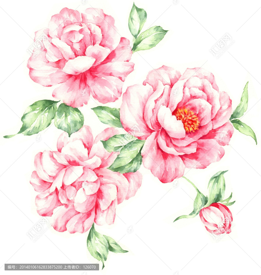 手繪花卉,合層