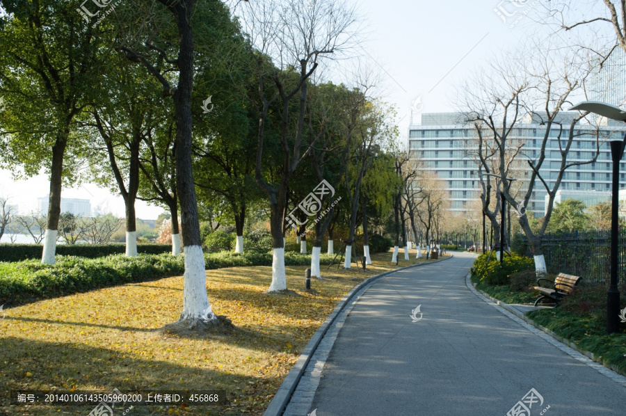 道路