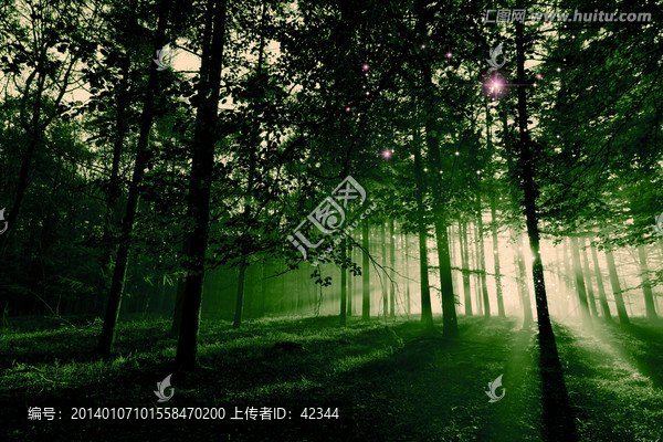 高清分層樹林神秘森林,帶調(diào)色層