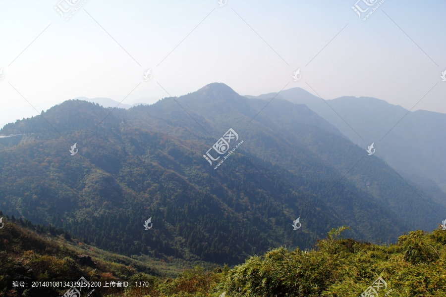 南岳衡山风景区,森林,植被