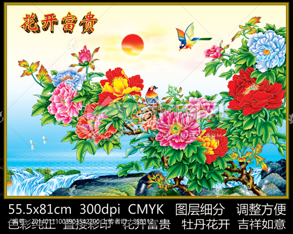 花開富貴,牡丹花