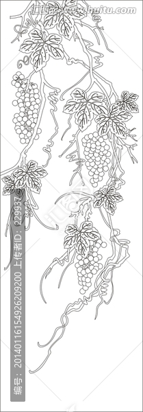 葡萄