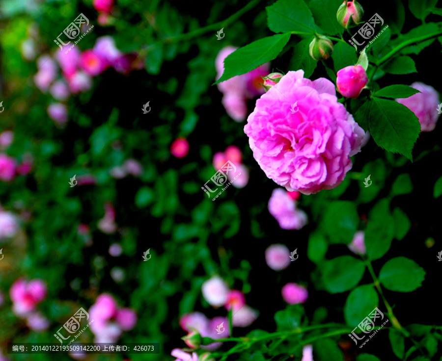 春暖花開