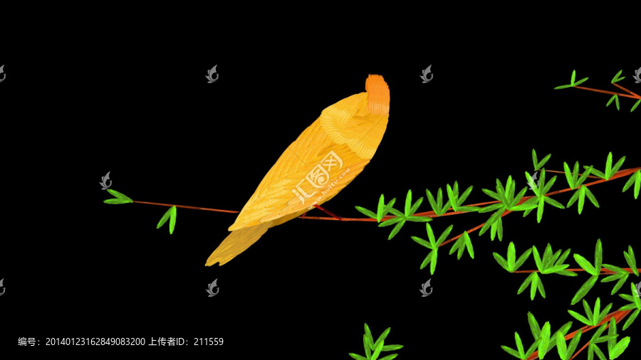 金絲雀