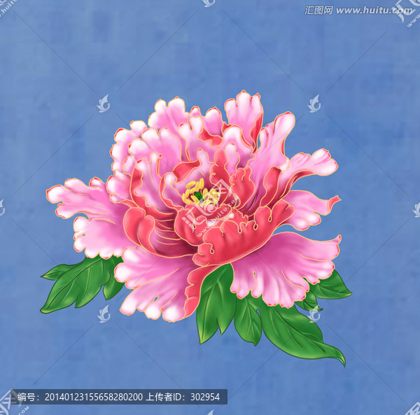 牡丹