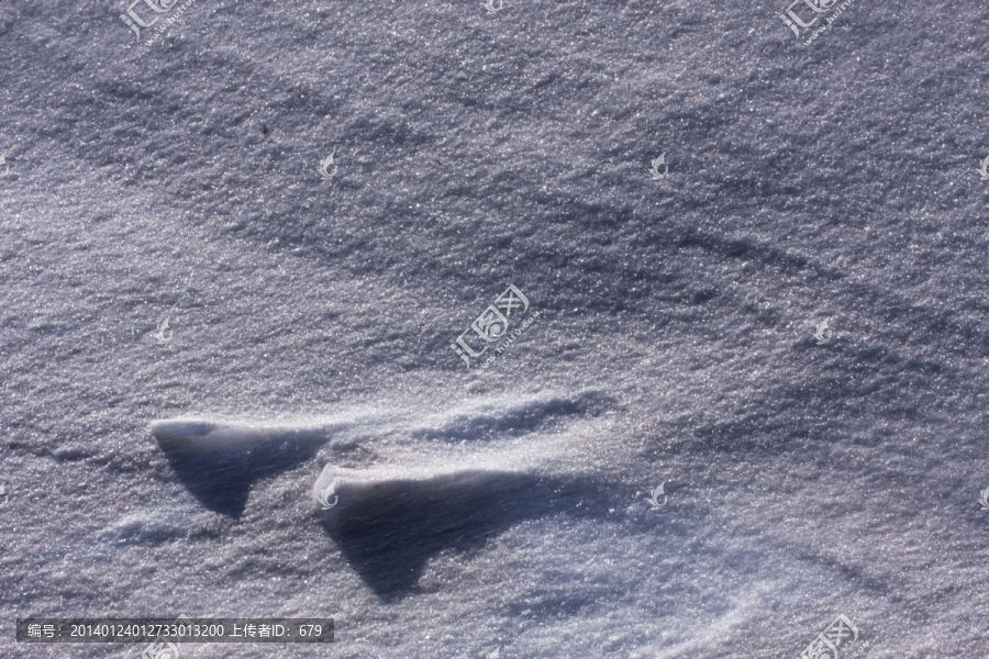 雪地,白雪