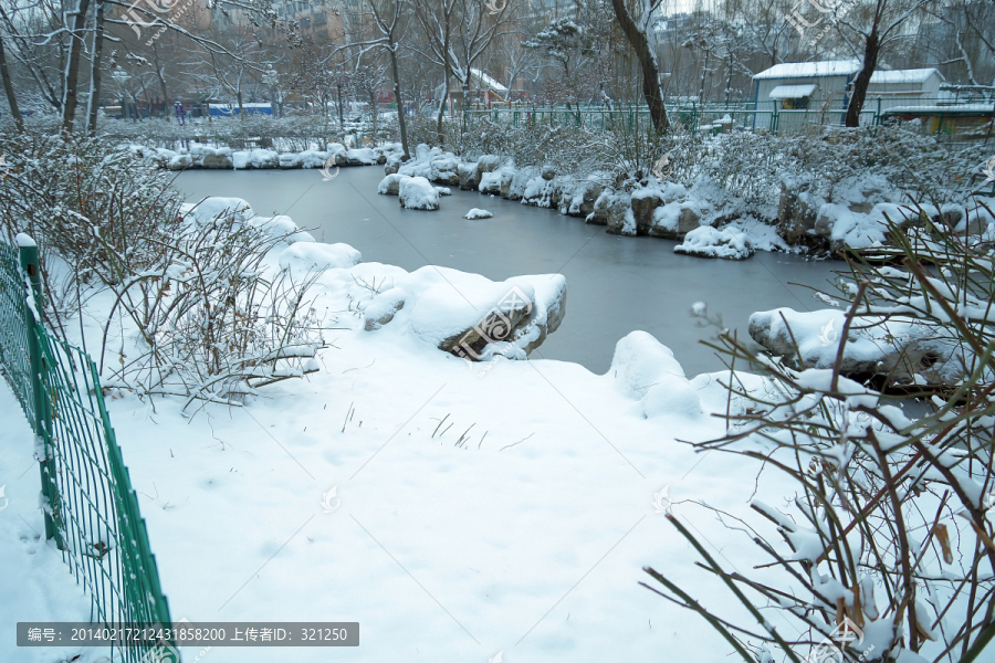 雪后园林景观