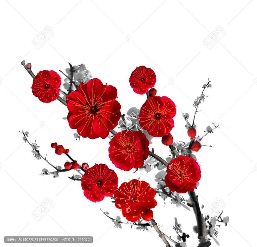 花卉