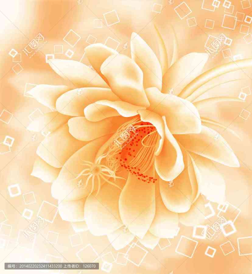 花卉