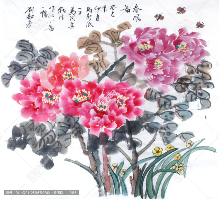 牡丹水仙