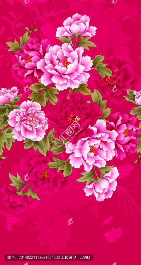 牡丹花有分層