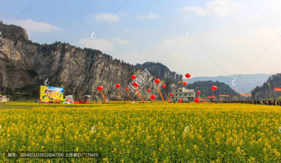 四川古蔺双沙油菜花