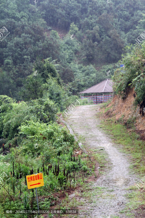 浙江,余姚,杨梅种植基地,乡村