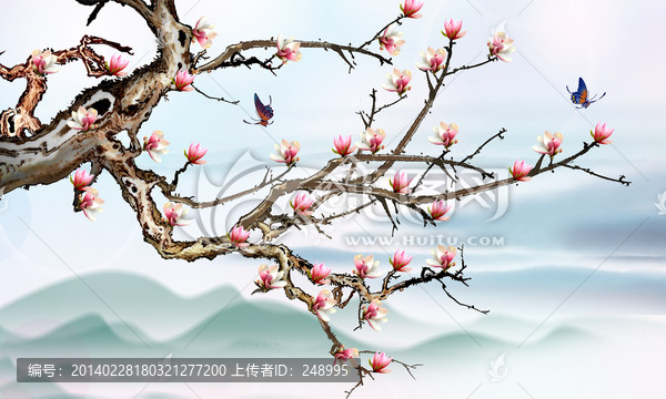 紅棉花,梅花