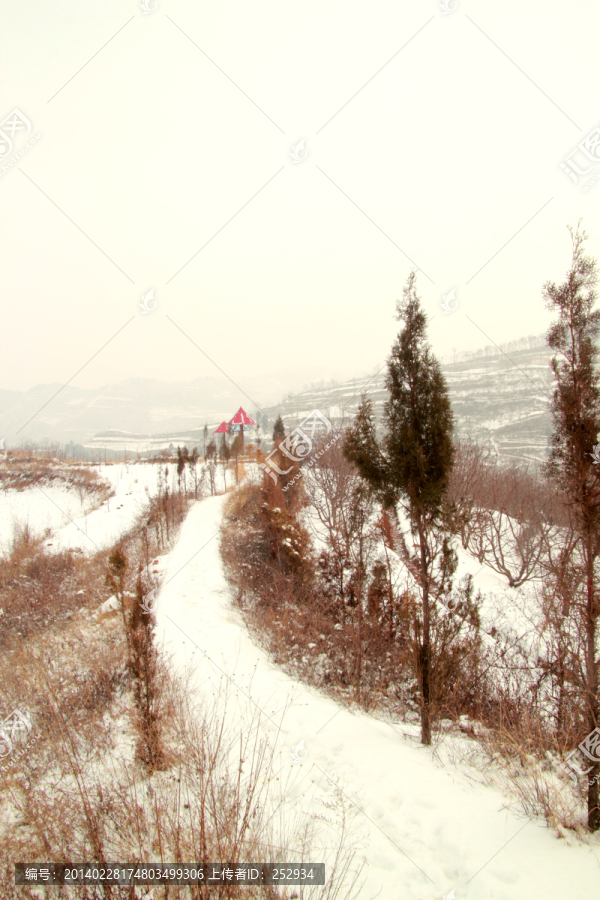 雪野