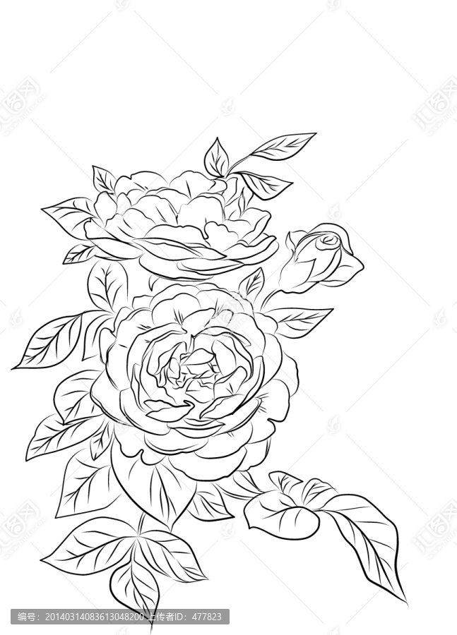 花卉線稿
