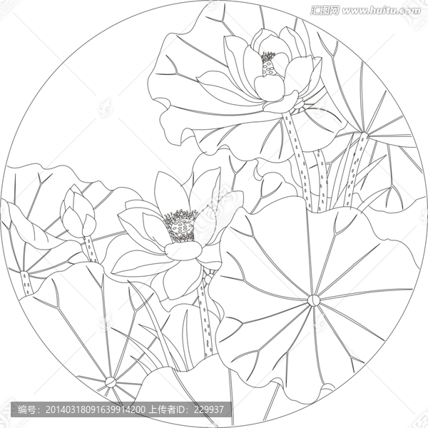 矢量線描荷花