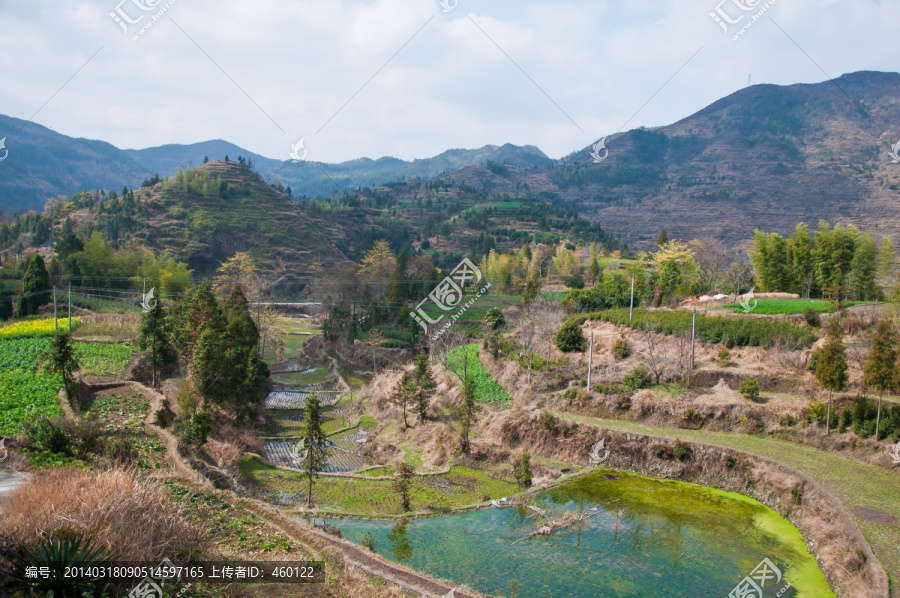 梯田,水田