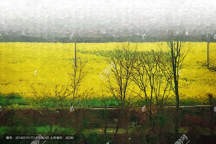 油畫,鄉(xiāng)村油菜花