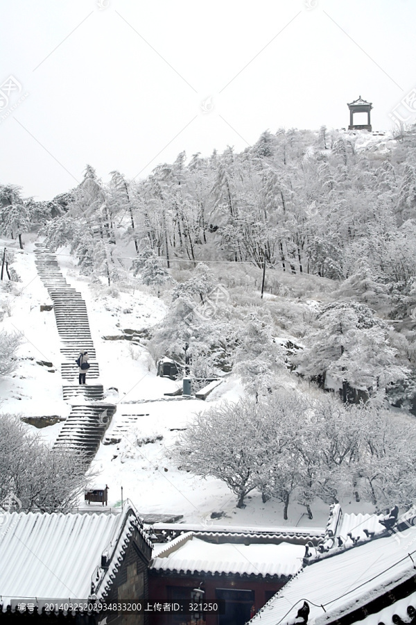 泰山雪景