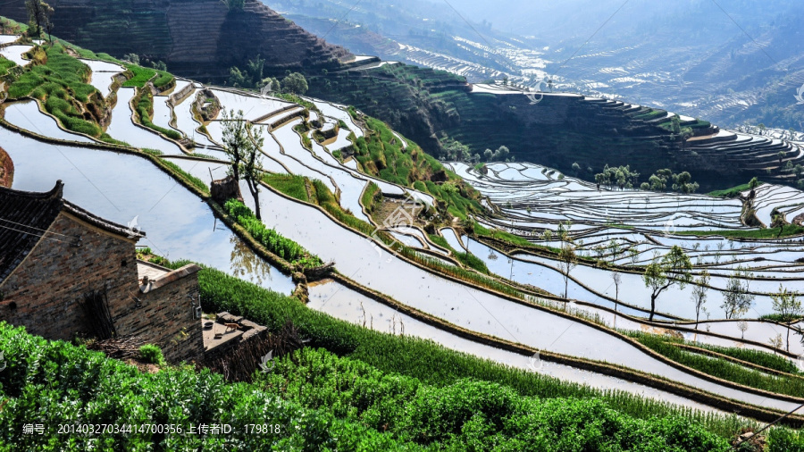 云南红河梯田