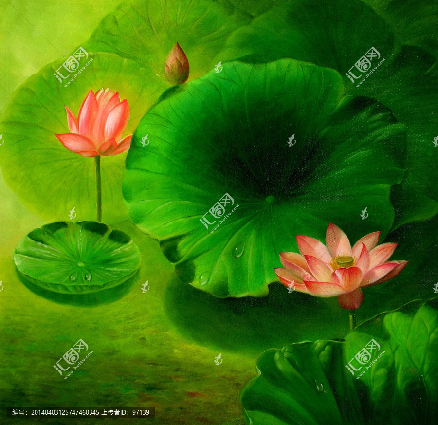 荷花金魚