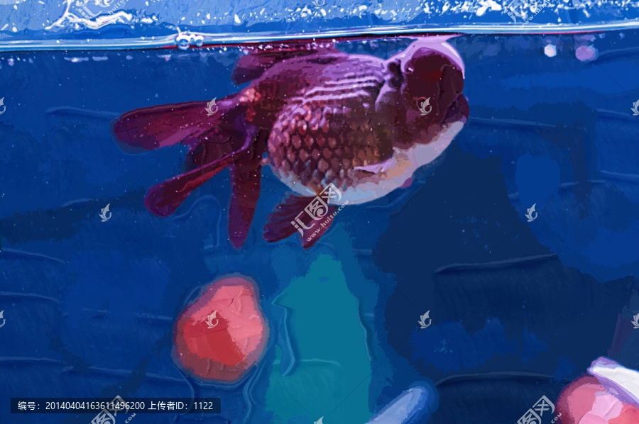 觀賞魚裝飾畫