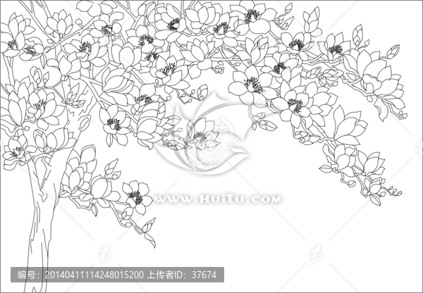 單線雕刻圖玉蘭花（未閉合）