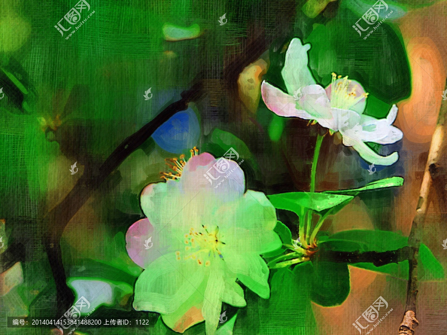 海棠花