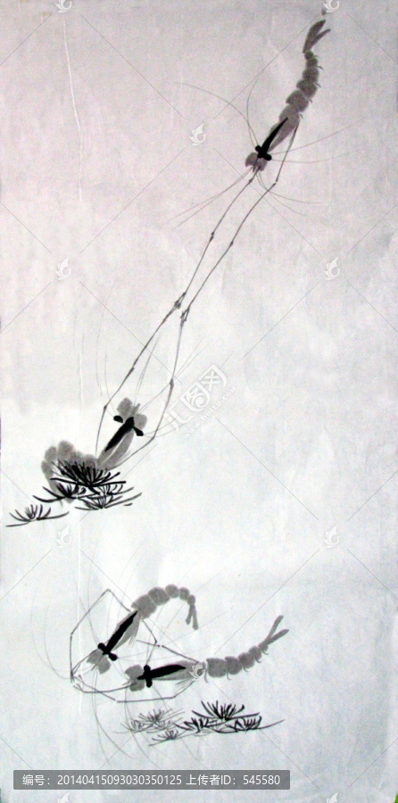 蝦