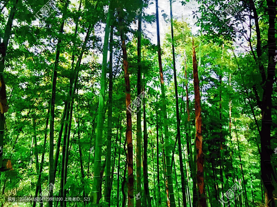 樹(shù)林風(fēng)景