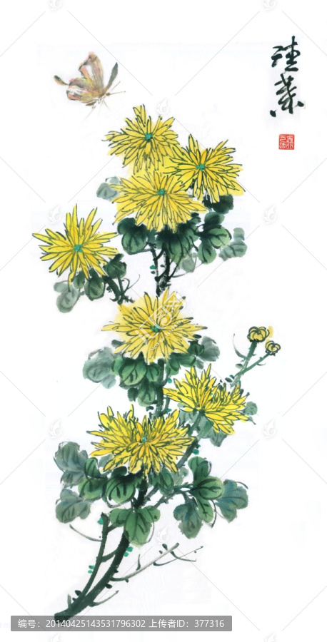 手繪菊花,不分層