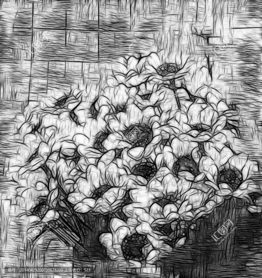 菊花裝飾畫
